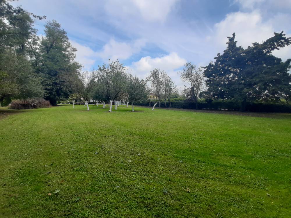 giardino - Porzione di casa a NOVENTA DI PIAVE in vendita - Rif.: 2384