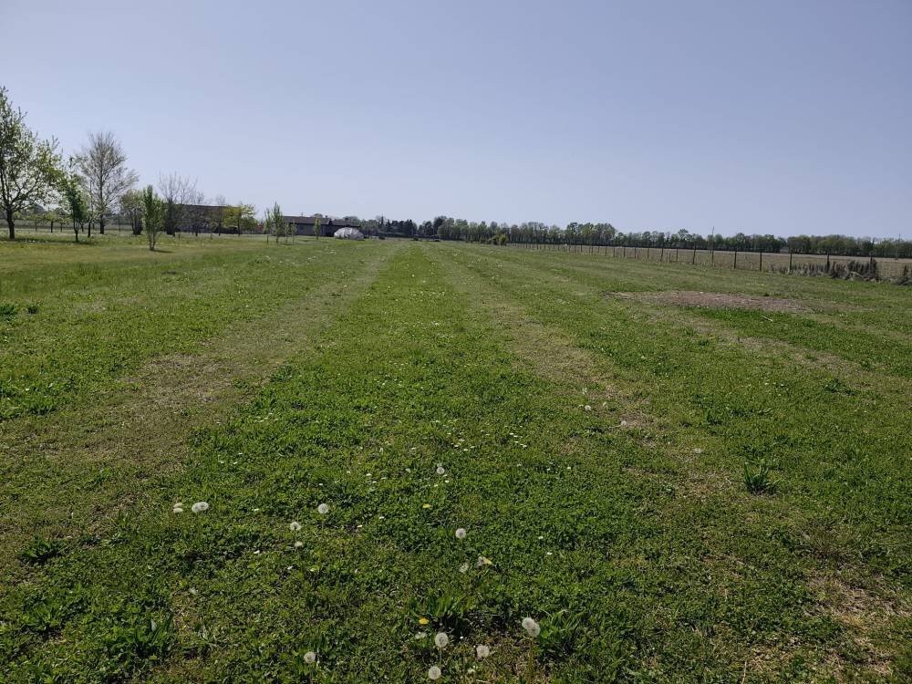Foto 1 - Terreno agricolo a SAN DONA' DI PIAVE zona BASSA ISIATA in vendita - Rif.: 2461