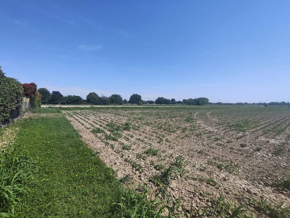 Foto 5 - Terreno agricolo a SAN DONA' DI PIAVE zona CHIESANUOVA in vendita - Rif.: 2487