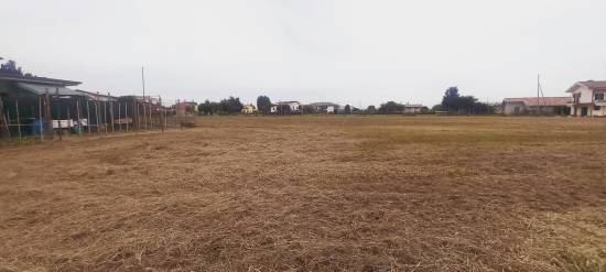 Foto 4 - Terreno edificabile SAN DONA' DI PIAVE zona CHIESANUOVA in vendita - Rif.: 2385