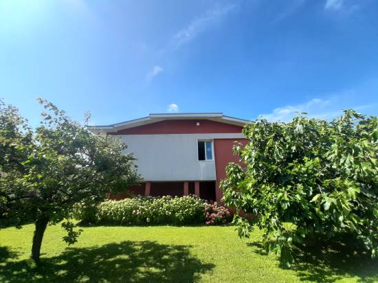 Esterno lato - Casa singola MUSILE DI PIAVE zona CENTRO in vendita - Rif.: 2419