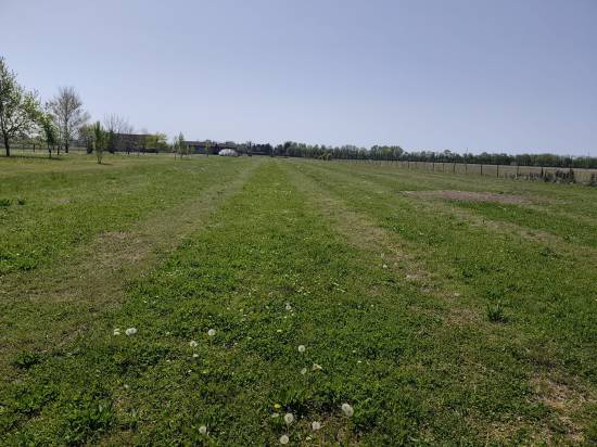 Foto 1 - Terreno agricolo SAN DONA' DI PIAVE zona BASSA ISIATA in vendita - Rif.: 2461