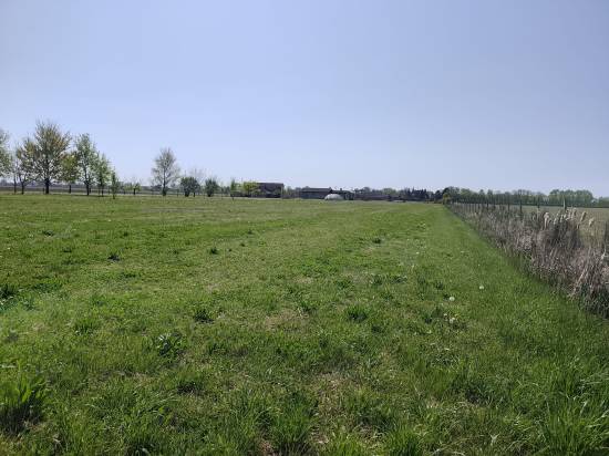 Foto 2 - Terreno agricolo SAN DONA' DI PIAVE zona BASSA ISIATA in vendita - Rif.: 2461