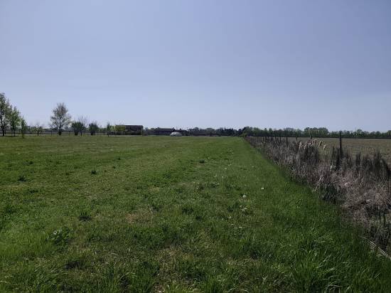 Foto 4 - Terreno agricolo SAN DONA' DI PIAVE zona BASSA ISIATA in vendita - Rif.: 2461