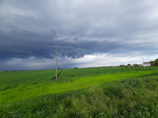 Foto 2 - Terreno agricolo MUSILE DI PIAVE in vendita - Rif.: 2463