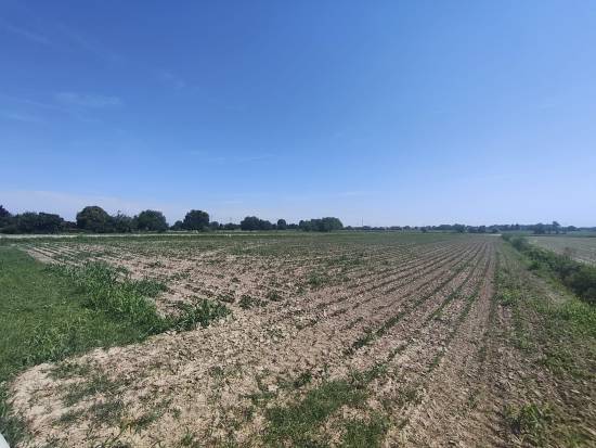 Foto 8 - Terreno agricolo SAN DONA' DI PIAVE zona CHIESANUOVA in vendita - Rif.: 2487