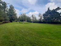 giardino - Porzione di casa a NOVENTA DI PIAVE in vendita - Rif.: 2384
