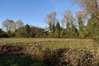 Foto 2 - Terreno edificabile a ANNONE VENETO in vendita - Rif.: 2459