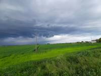 Foto 2 - Terreno agricolo a MUSILE DI PIAVE in vendita - Rif.: 2463