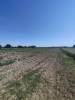 Foto 7 - Terreno agricolo a SAN DONA' DI PIAVE zona CHIESANUOVA in vendita - Rif.: 2487