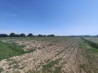 Foto 9 - Terreno agricolo a SAN DONA' DI PIAVE zona CHIESANUOVA in vendita - Rif.: 2487